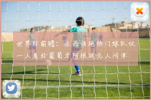 世界杯前瞻：法西领跑热门球队仅一人看好葡萄牙阿根廷无人问津